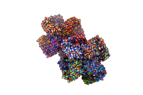 8XR2 image