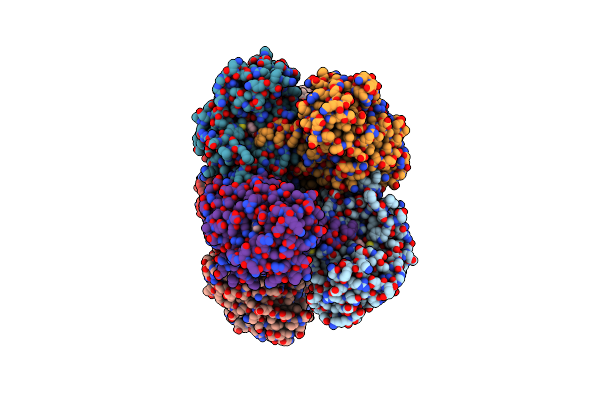 8XR4 image
