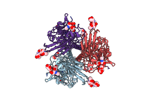 8XRD image