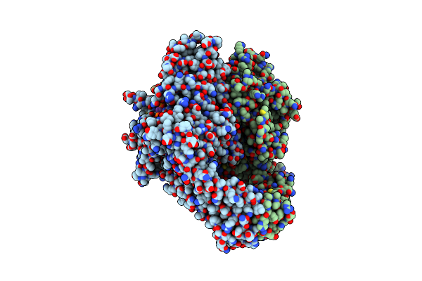 8XRF image