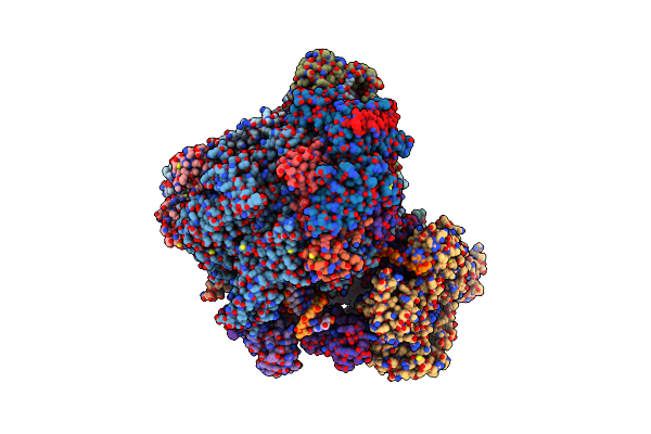 8XRM image