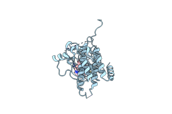 8XRR image