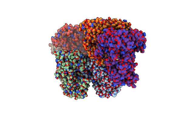 8XRT image