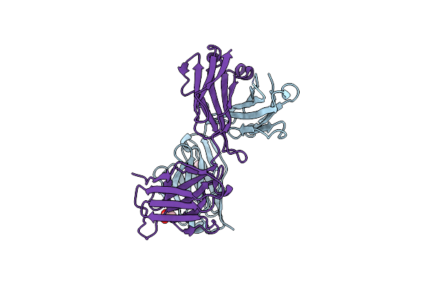 8XS2 image