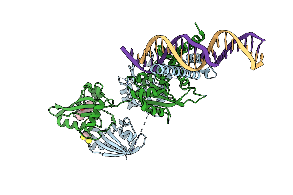 8XSA image