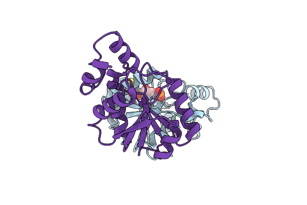8XSC image