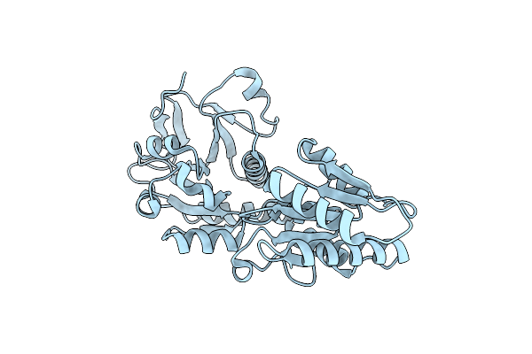 8XSH image