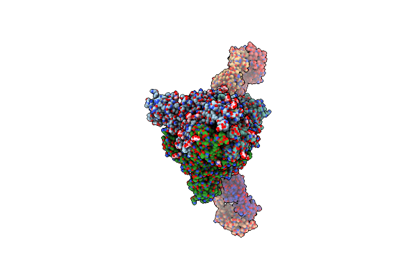 8XSL image