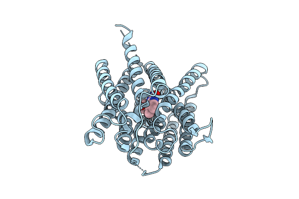 8XSN image