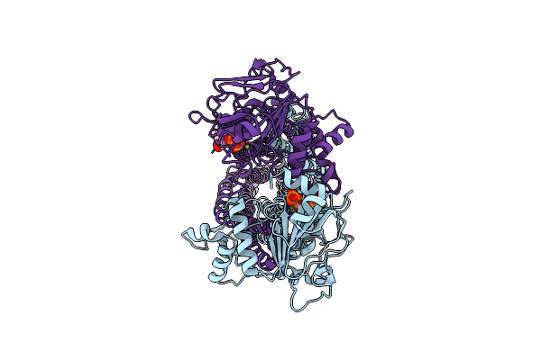 8XSR image