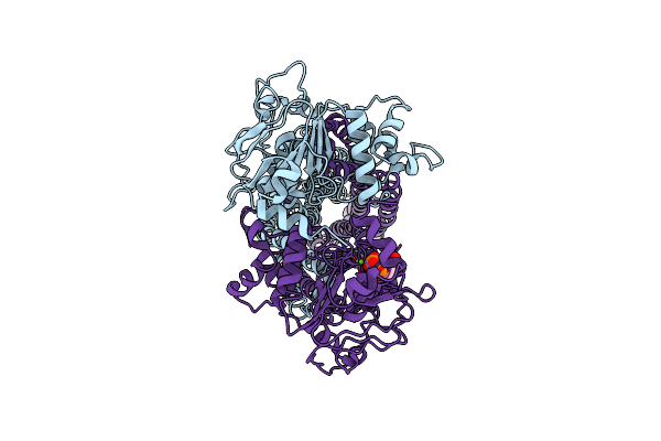 8XST image