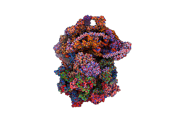 8XT0 image