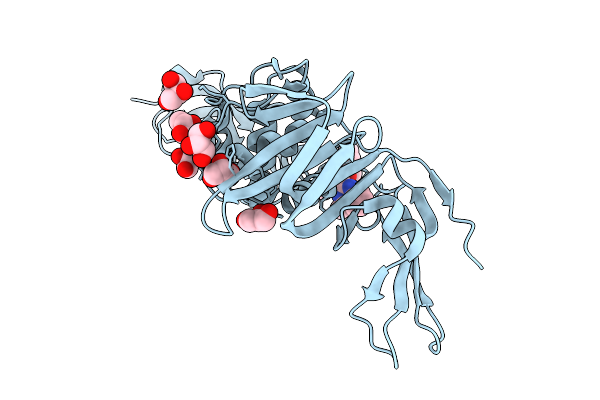 8XTD image
