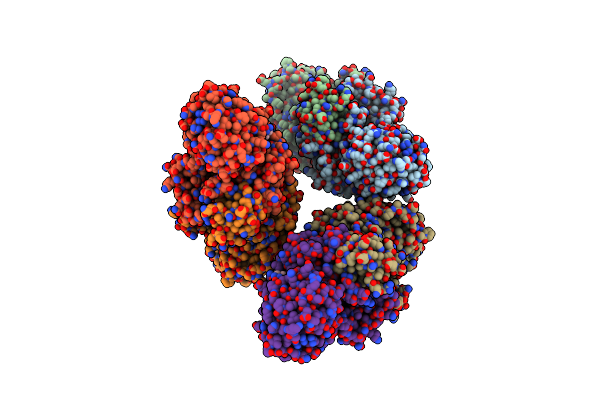 8XTE image