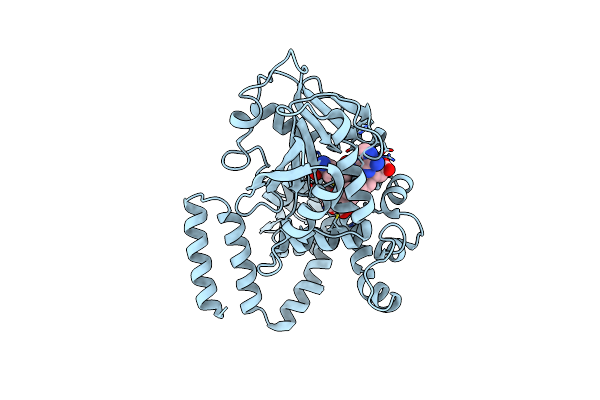 8XTF image
