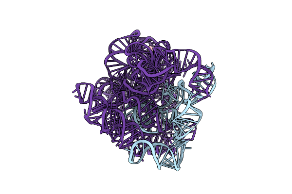 8XTP image