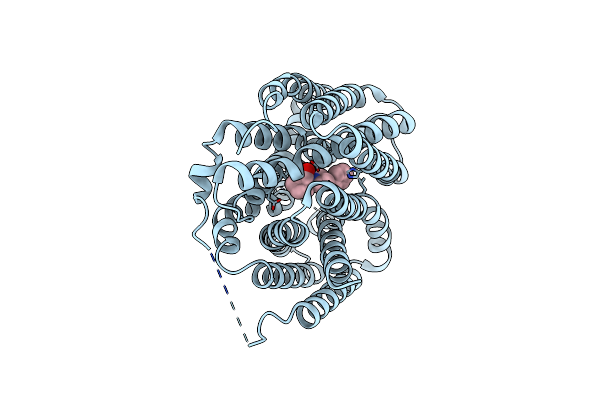 8XTY image
