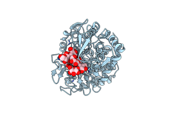 8XUL image