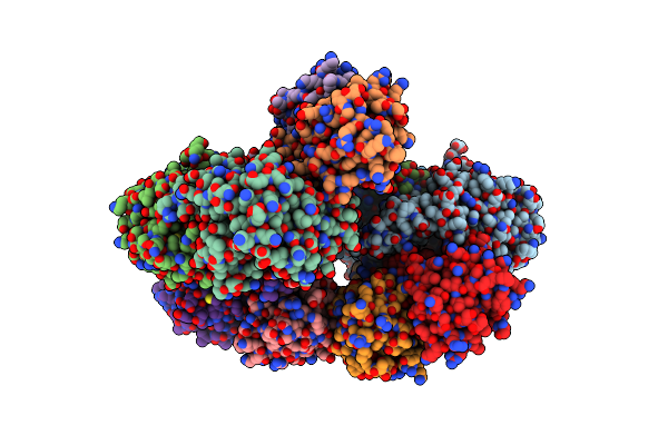 8XUP image