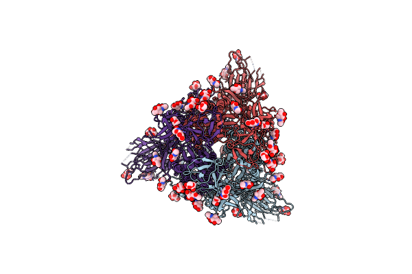 8XUS image