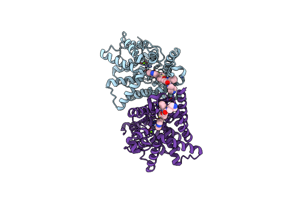 8XV3 image