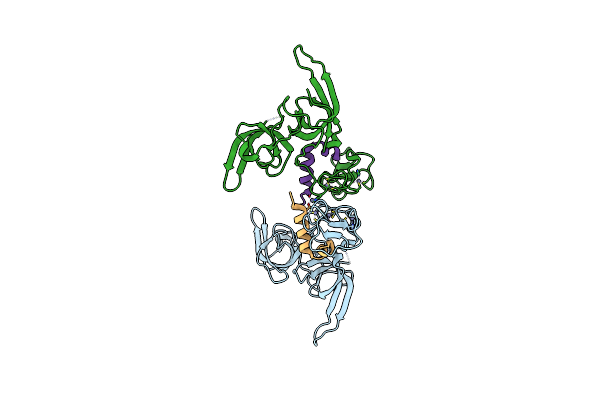 8XV4 image