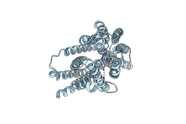 8XV5 image