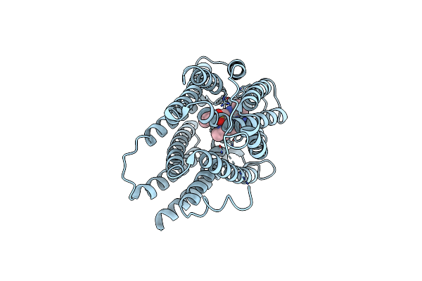 8XV9 image