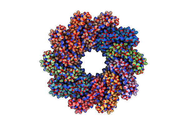 8XVD image