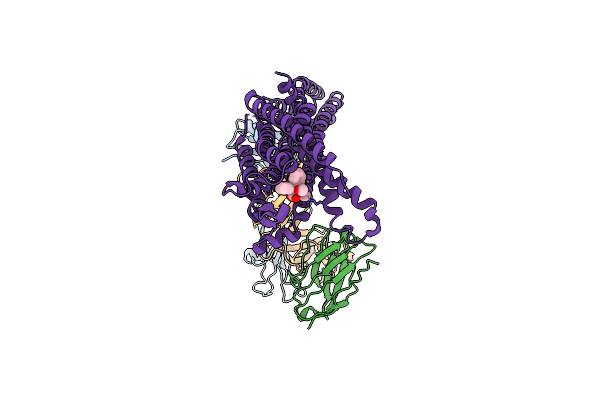 8XVK image