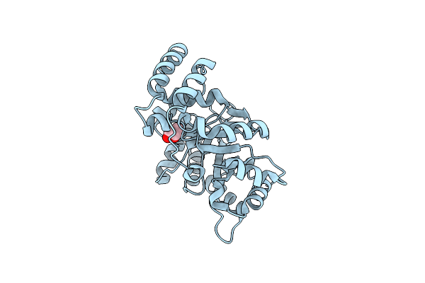 8XVO image