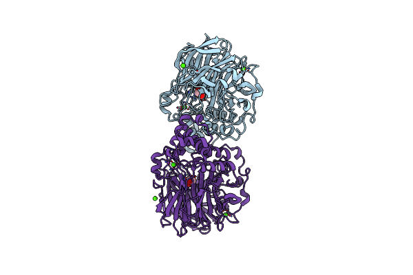 8XVP image