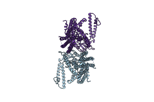 8XW2 image