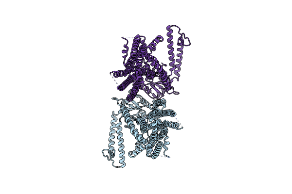 8XW3 image