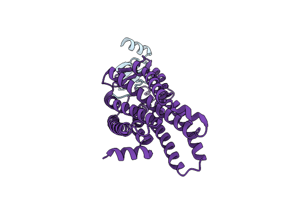 8XWM image