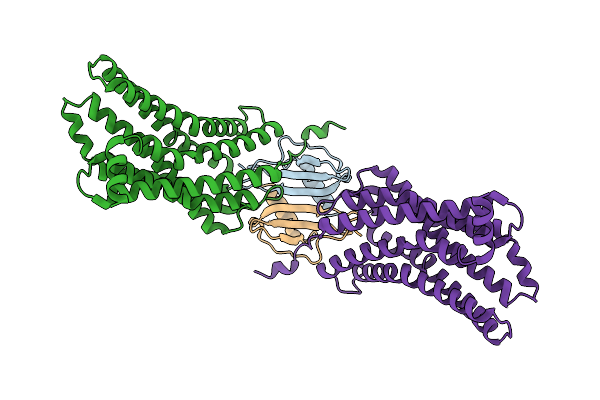 8XWS image