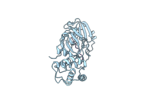 8XWT image