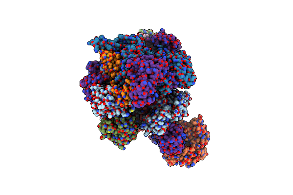 8XXT image
