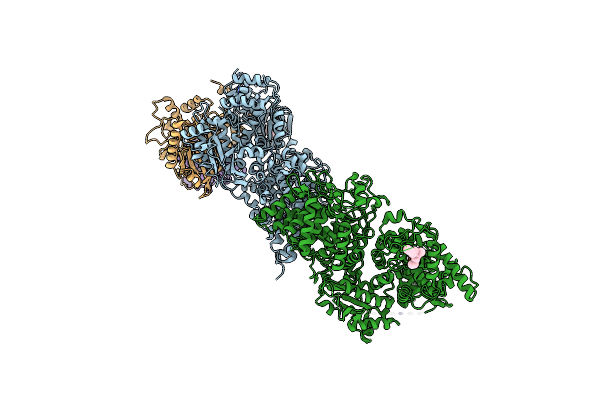 8XYA image