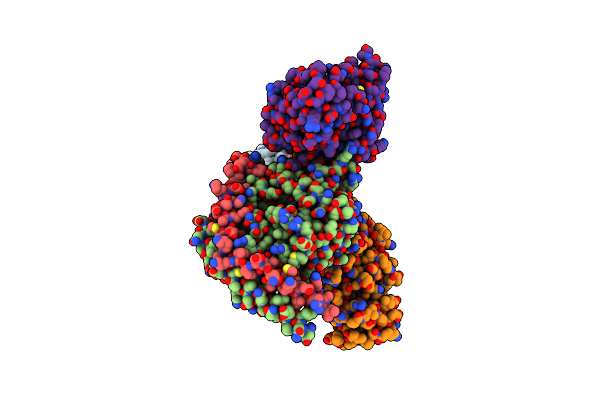 8XYD image