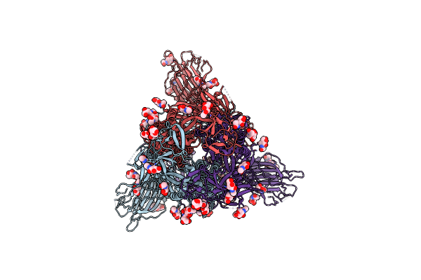 8XYM image