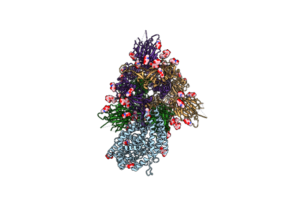 8XZ8 image