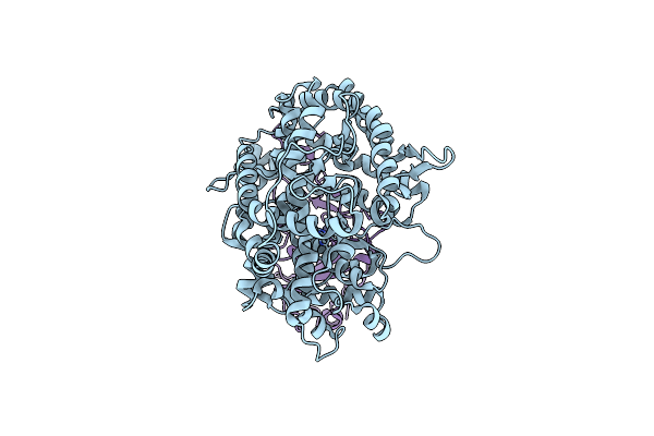 8XZD image