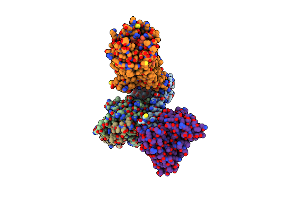 8XZF image