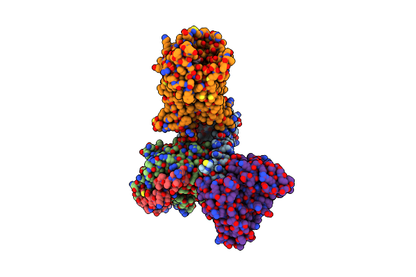 8XZI image