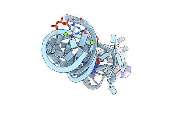 8XZL image