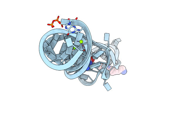 8XZM image