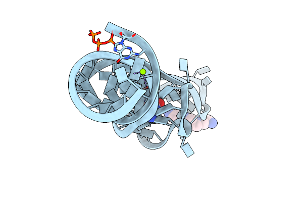 8XZN image