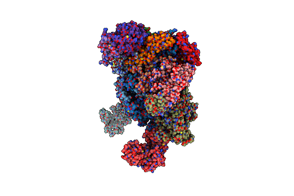 8XZV image