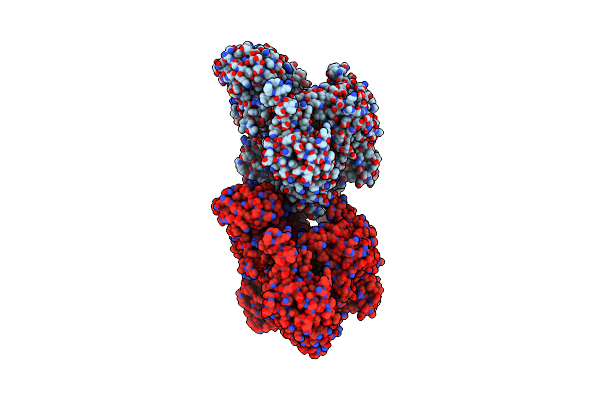 8Y08 image